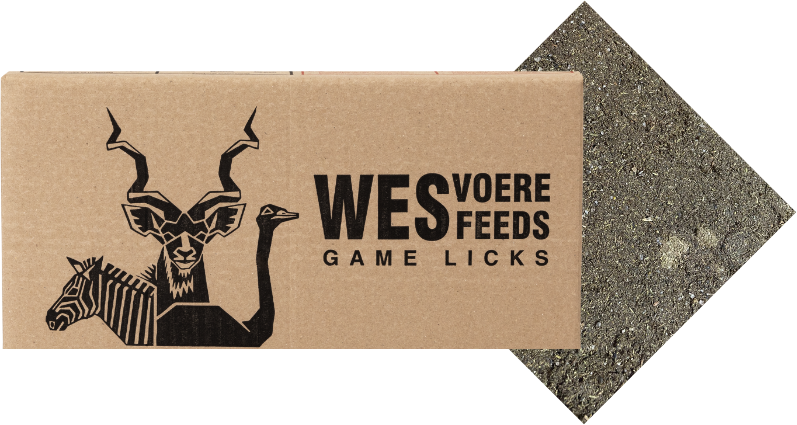 Cardboard box with the words 'Wes Feeds Game Licks' written in black.